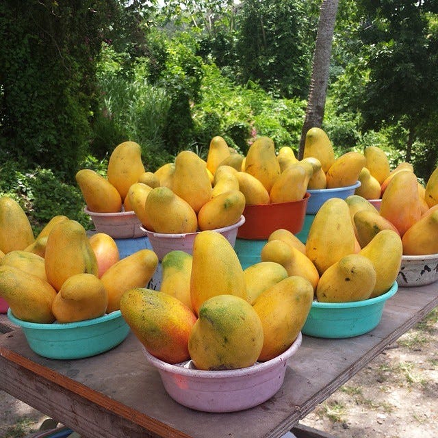 East Indian Mangoes