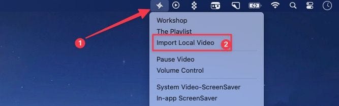 Importing local video option