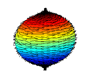 Attempt to comb a hairy ball