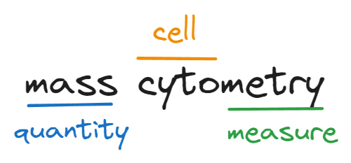 Techniques for analyzing cells in the Human Cell Atlas