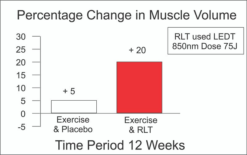 MRI Analysis of Muscle Volume