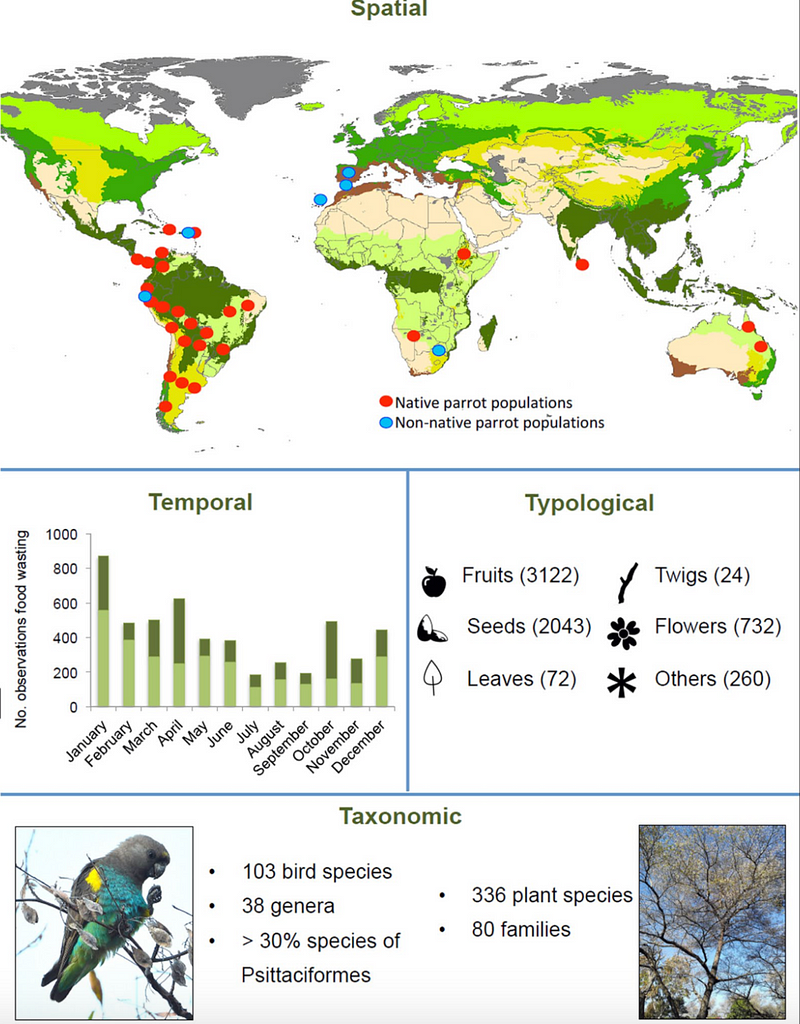 Graph illustrating the extent of food waste by parrots