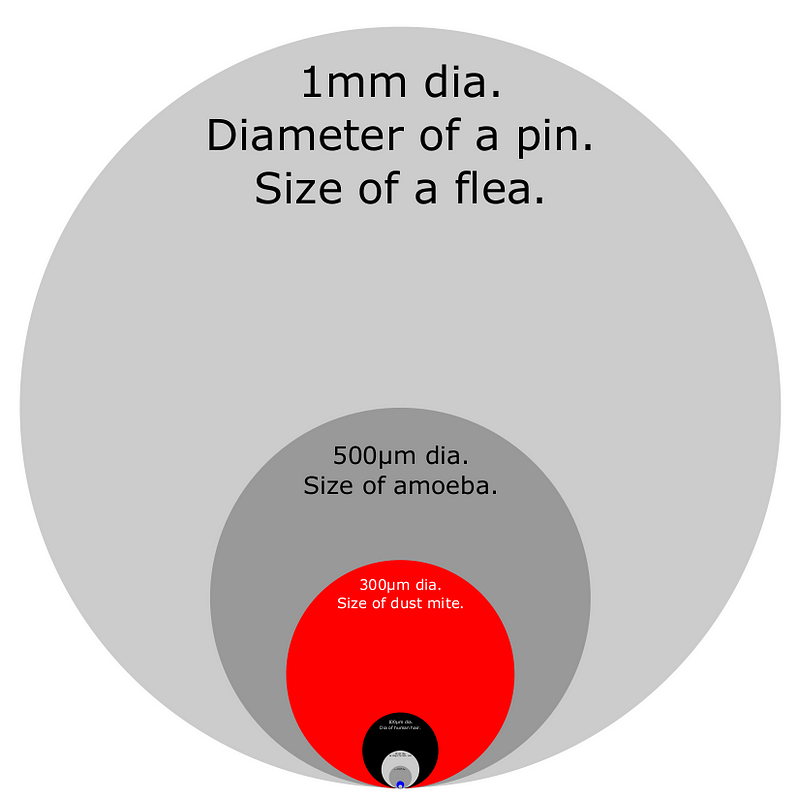 Visual representation of microscopic sizes