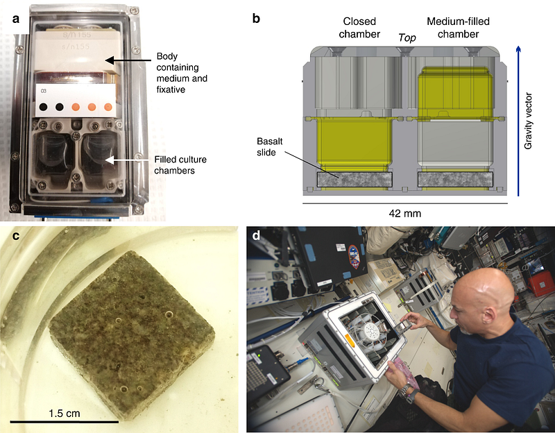 Experimental setup for microbial mining