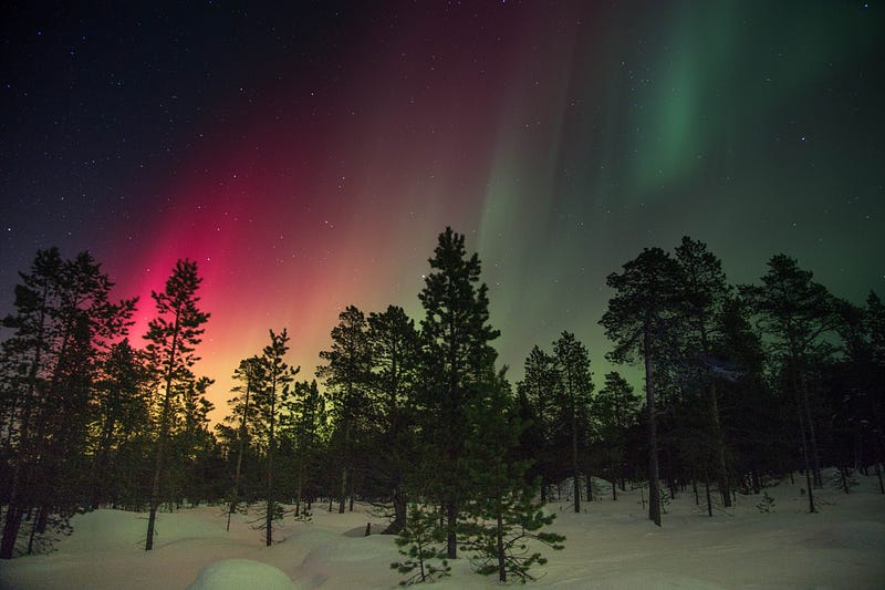 Fireworks illuminating the night sky