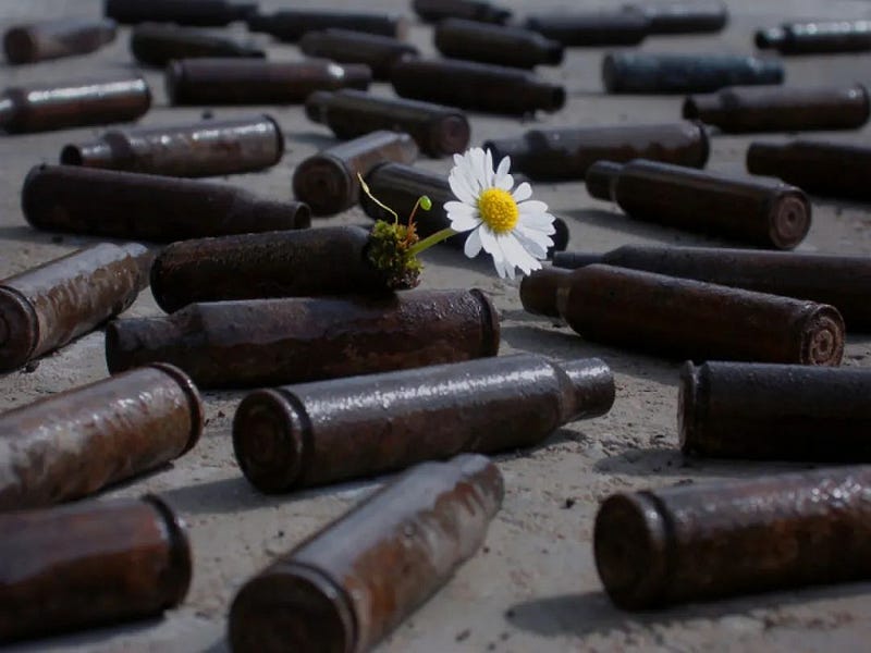 Flowers growing from bullet casings.