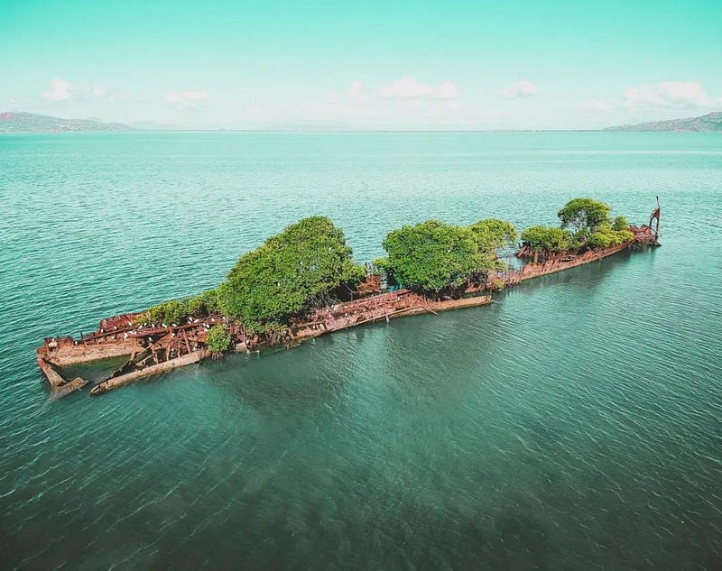 An abandoned ship covered in greenery.