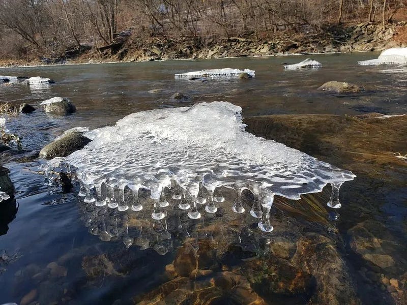 Ice formations resembling wine glasses.