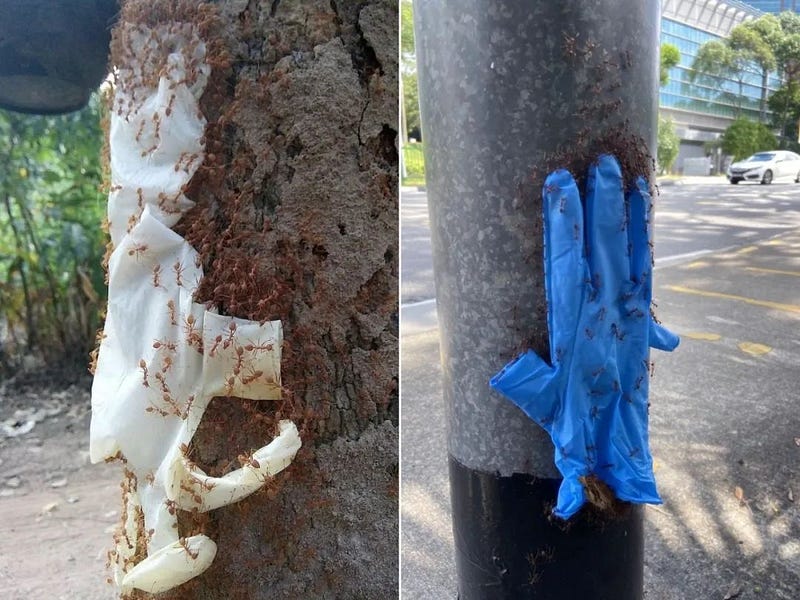 A glove appearing to move on a pole.