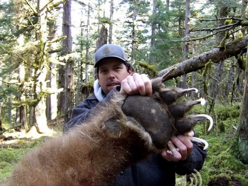 Grizzly bear paw comparison