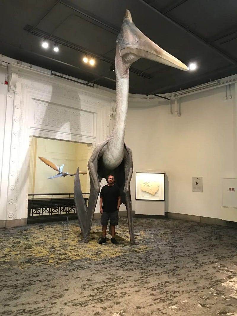 Aeolian Pterosaur life-size model