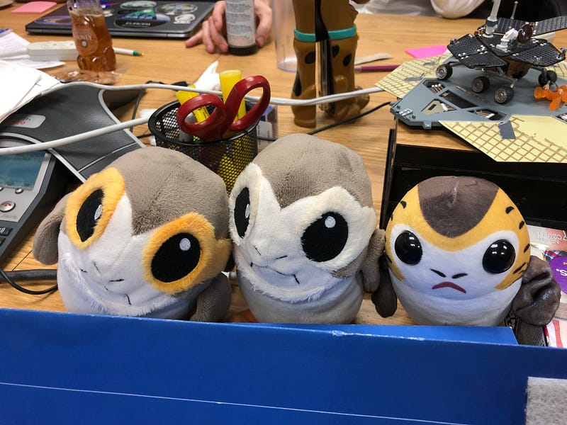 Emotional support porgs brought by Keri Bean