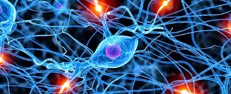 Illustration of neurons in the brain