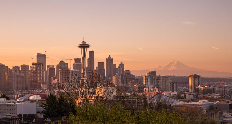 A Seattle cityscape with crows in focus